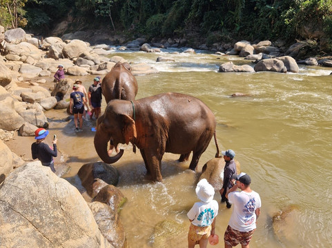 Mike's Authentic Trekking-清迈必去景点