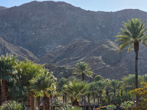 Sensei Porcupine Creek主图