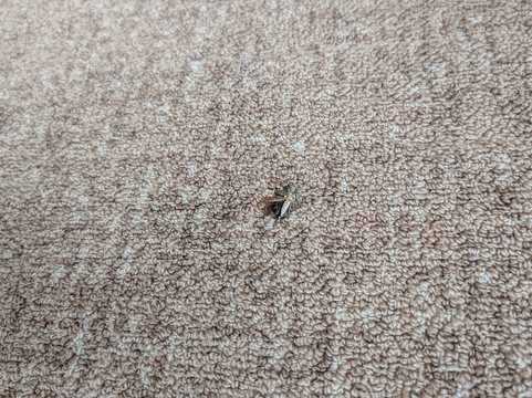 菲德里克希尔顿惠庭酒店主图