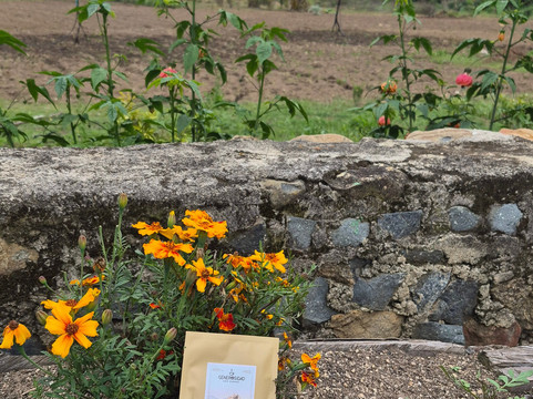 History Travelers-Riohacha必去景点