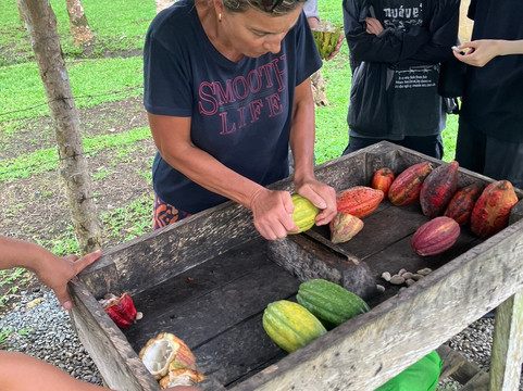 Bohol Chocolate Farm-Sagbayan必去景点