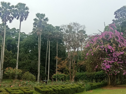 Nature Caves Sri Lanka-科伦坡必去景点