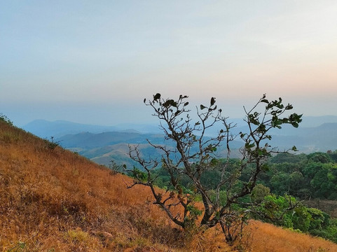Ettina Bhuja-Mudigere必去景点