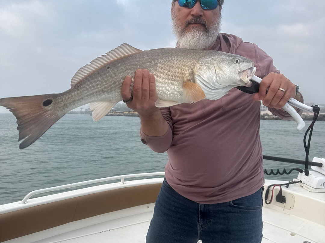 Island Charters-St. George Island必去景点