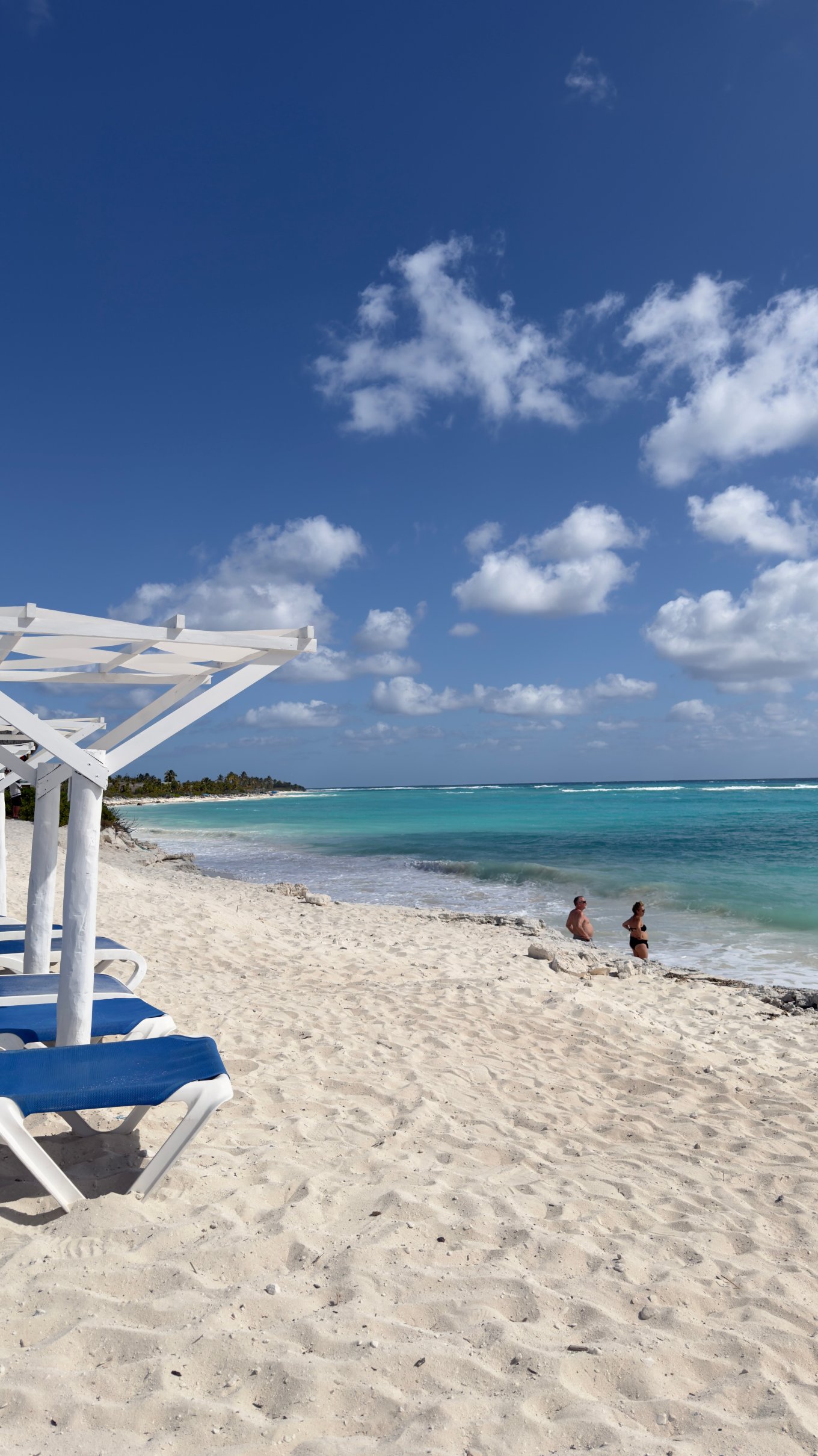 Starfish Cayo Largo-官方