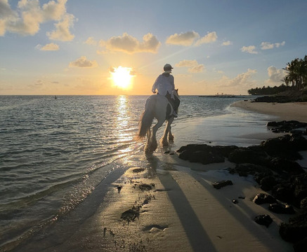 Legasea Stables Mauritius-Quatre Cocos必去景点