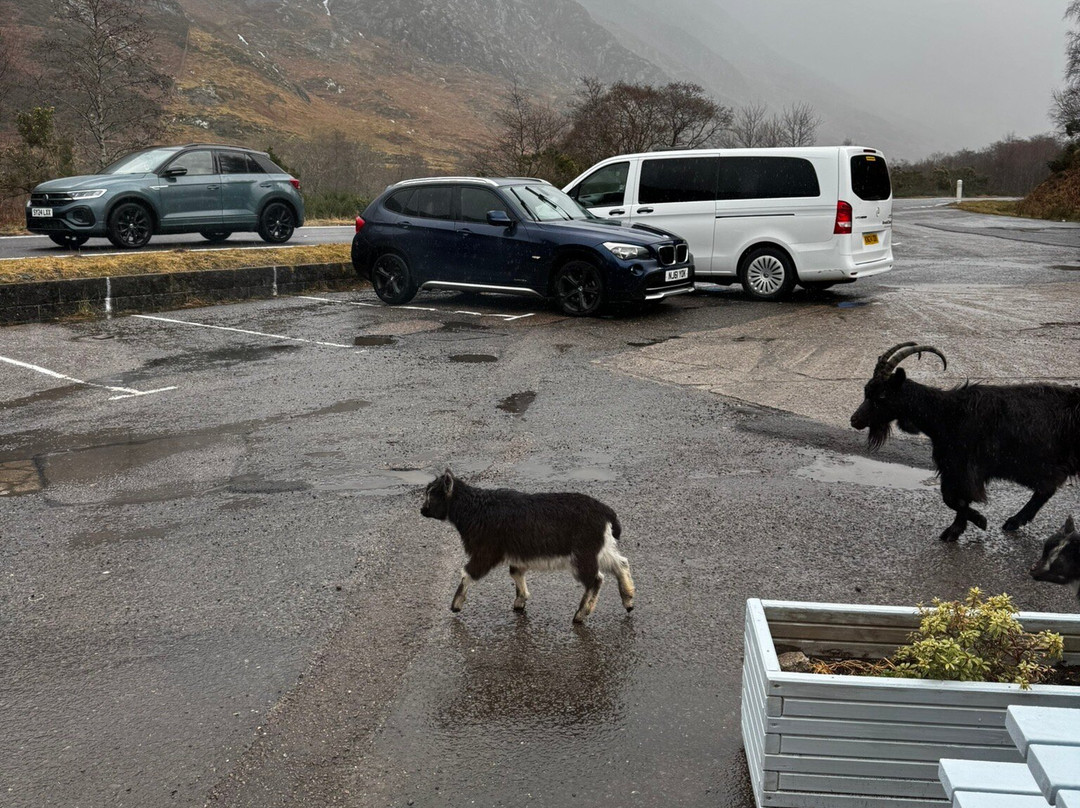 Chocolates of Glenshiel-Shiel Bridge必去景点
