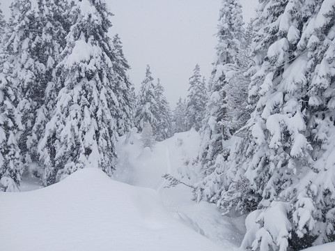 Bergwanderführer Tirol-洛伊塔戌必去景点