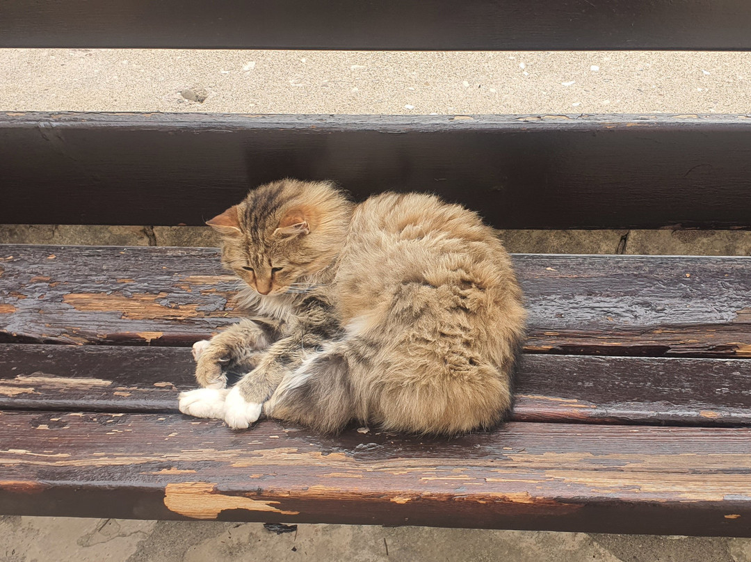 圣尼欧菲托斯修道院-帕福斯必去景点