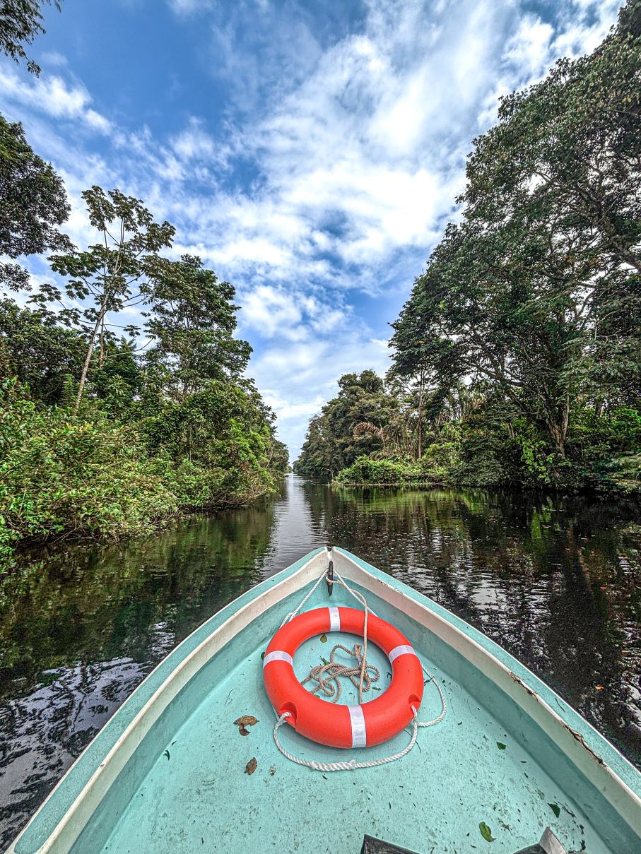Tranquilo Bay Eco Adventure Lodge-官方