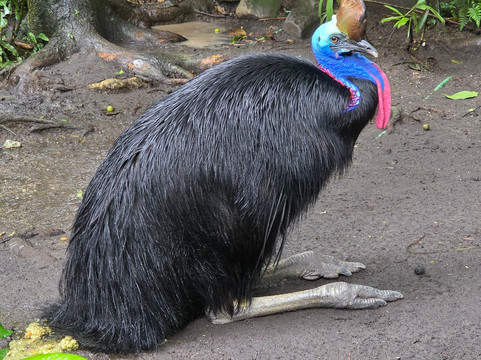 Pratama Bali Tour-沙努尔必去景点