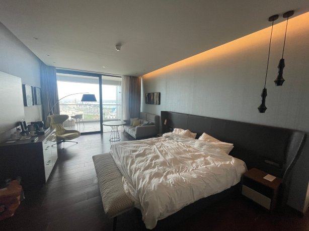 拉纳卡丽笙酒店-客卧