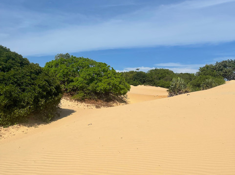 Receptivo As Ribeirinhas-Piacabucu必去景点