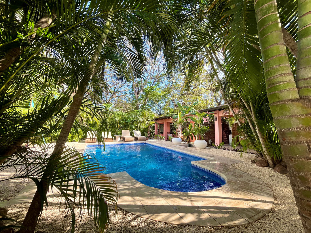 Ohana Jungle House