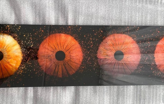 Iris Galerie Groningen-格罗宁根省必去景点