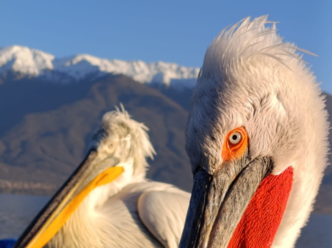 Greece Bird Tours-Marathon必去景点