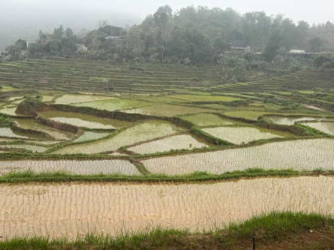 迈乔温泉度假村主图