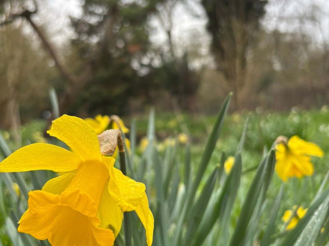 Myddelton House Gardens-恩菲尔德必去景点