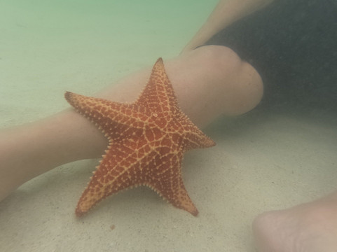 Crazy Crab Private Boat Charters-Camana Bay必去景点