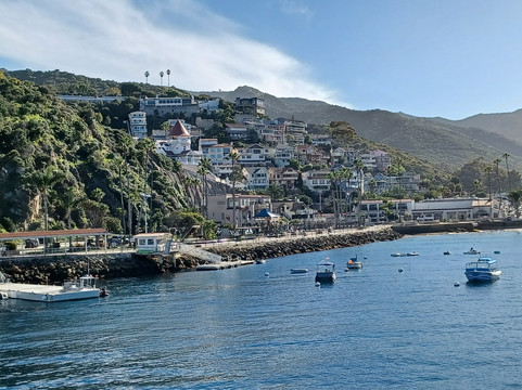 卡特琳娜小岛快捷游船-长滩必去景点