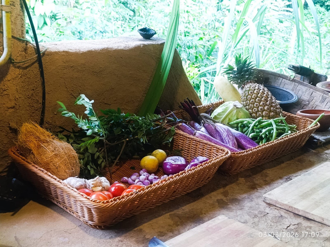 Ella Green Grow Cooking Class-埃勒必去景点