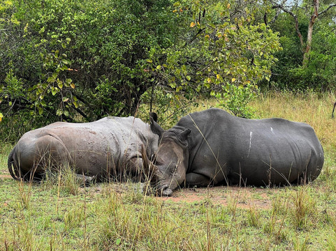 Africa Reveal Safaris-Namugongo必去景点