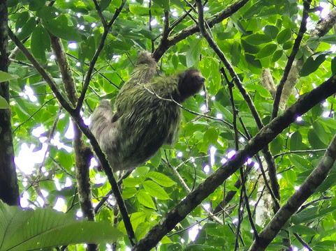 Allan Explorer-Upala必去景点