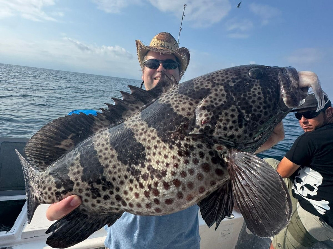 Calypso Fishing Tours - Puerto Vallarta-瓦拉塔港必去景点
