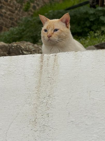 博物馆酒店-官方
