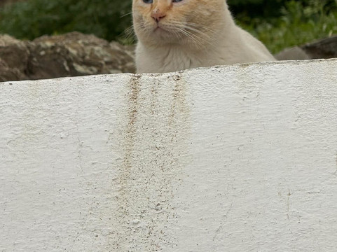 博物馆酒店主图