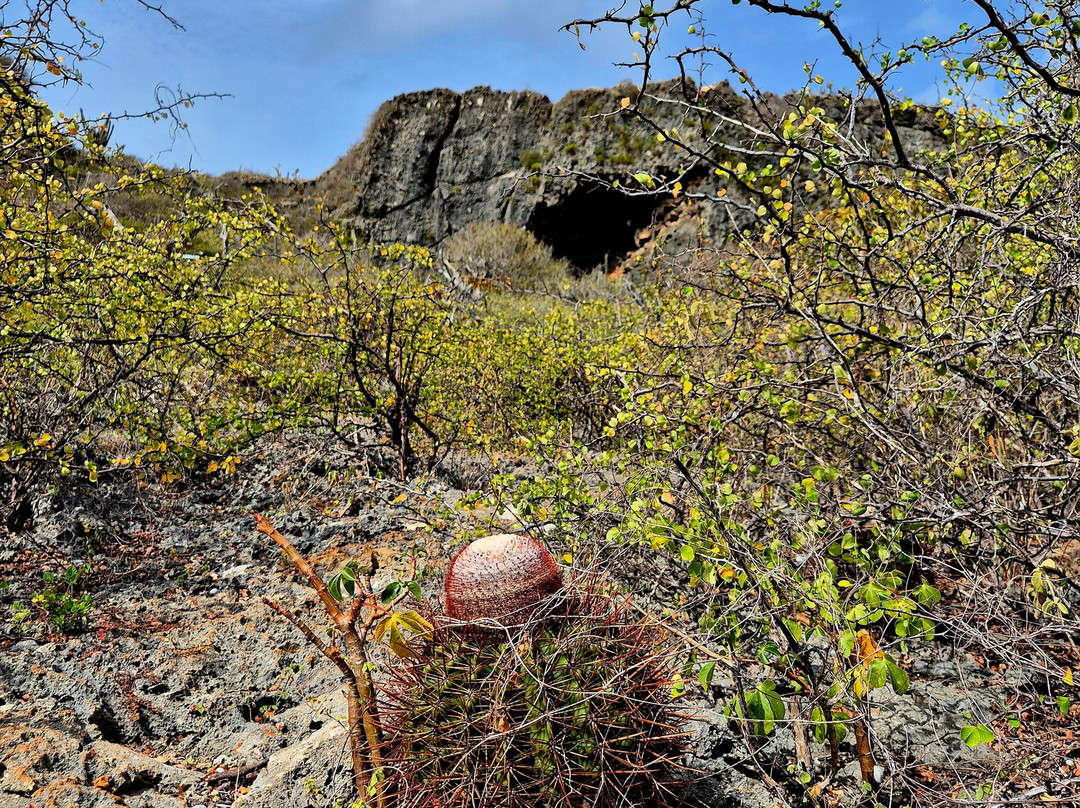 丹尼尔庄园酒店主图
