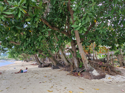 Corong Corong Beach-爱妮岛必去景点