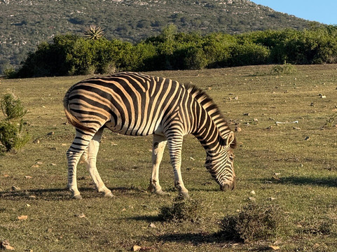 Yengwa Tours & Adventures-克尼斯纳必去景点