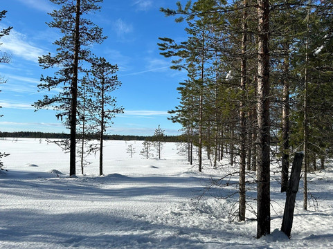Lapland Safaris Yllas-Akaslompolo必去景点