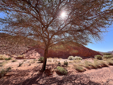 Jordan Trail Guide-佩特拉必去景点