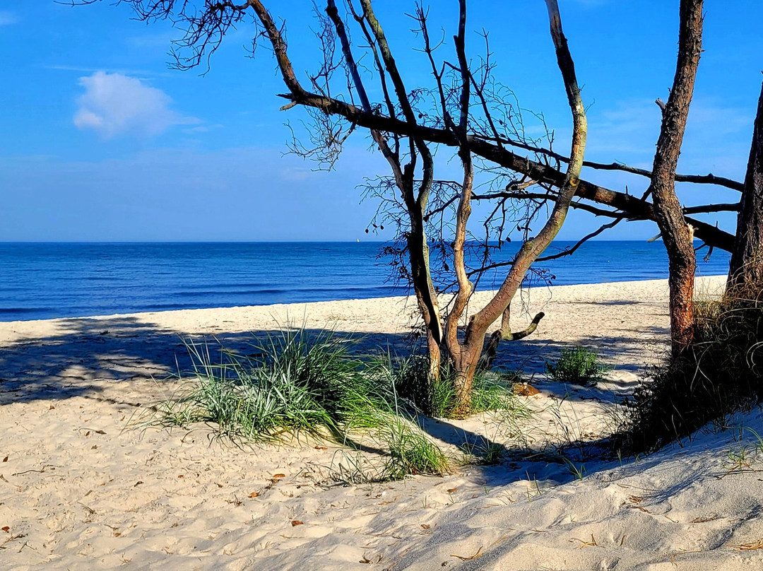 Weststrand-Ostseebad Prerow必去景点