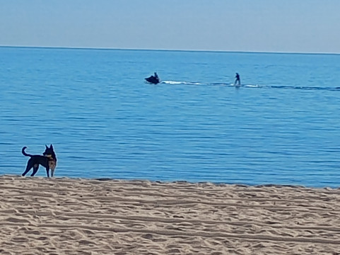 Nomad Experience-La Ventana必去景点