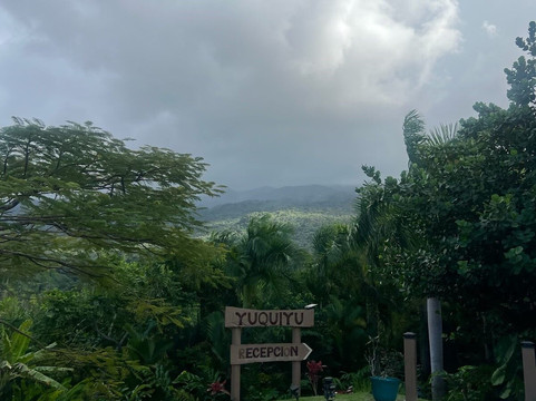 Yuquiyu Treehouses主图