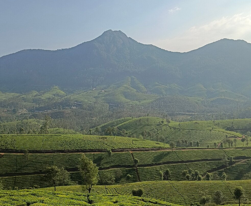Munnar Taxi Sevice-慕那尔必去景点