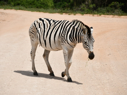 Crisscross Adventures-阿多必去景点