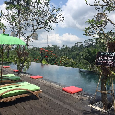 阿拉姆乌布文化别墅及公寓主图