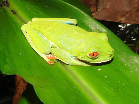 Allan Explorer-Upala必去景点