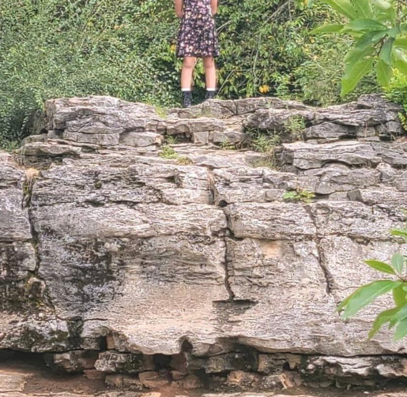 Sequiota Park-斯普林菲尔德必去景点