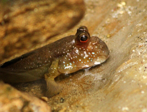 The Living Rainforest-纽伯里必去景点