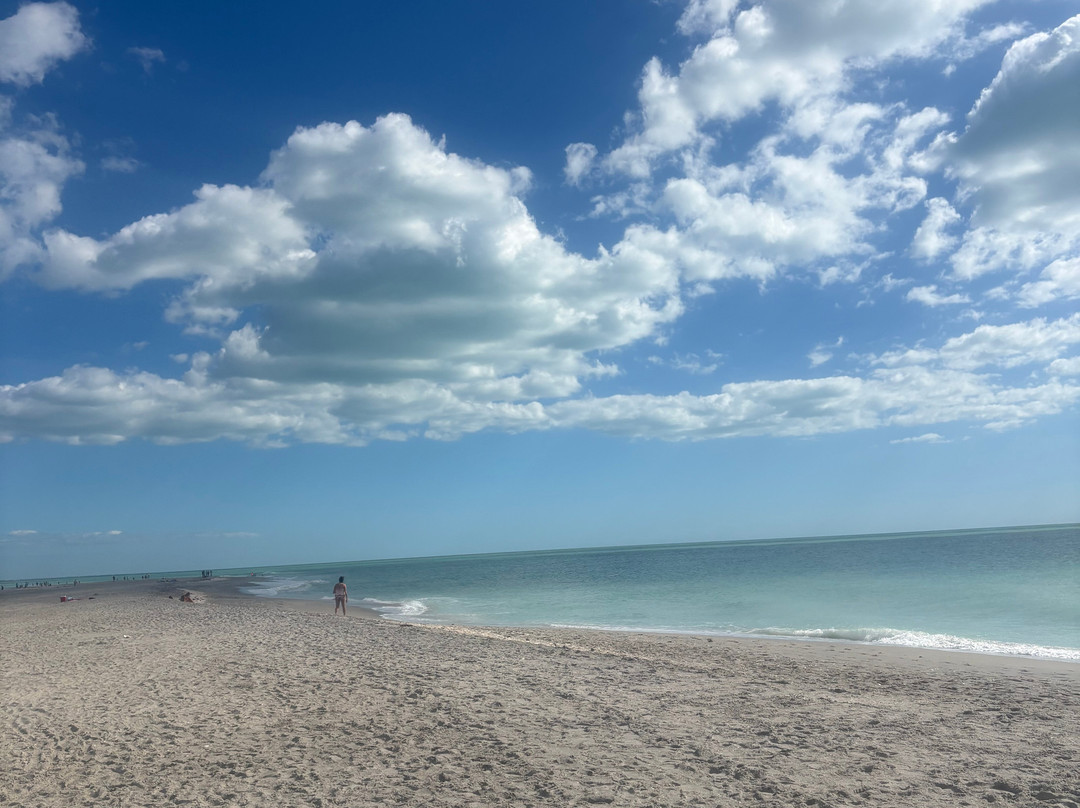Stump Pass Beach State Park-恩格尔伍德必去景点