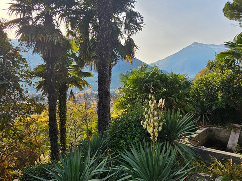 Tappeiner Promenade-梅拉诺必去景点