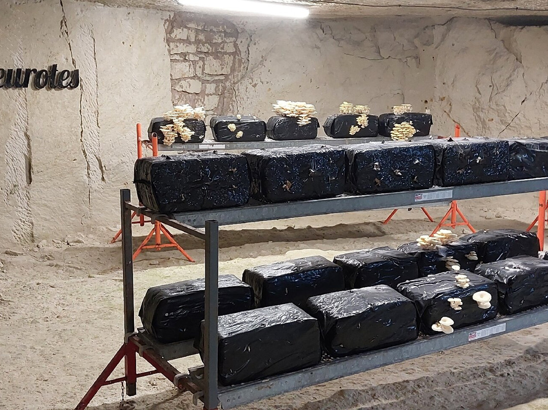 Saut Aux Loups - Museum-Montsoreau必去景点