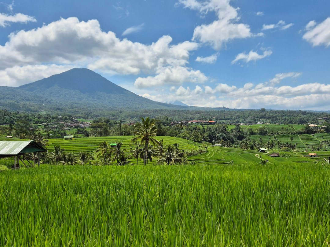 Bali Tropical Island Tours-库塔必去景点