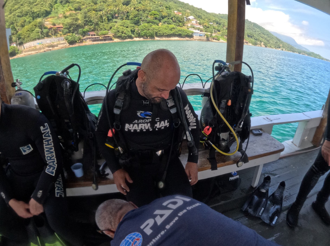 Narwhal-伊利亚贝拉必去景点