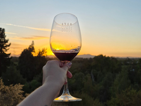 Cuatro Almas Wines-Buin必去景点